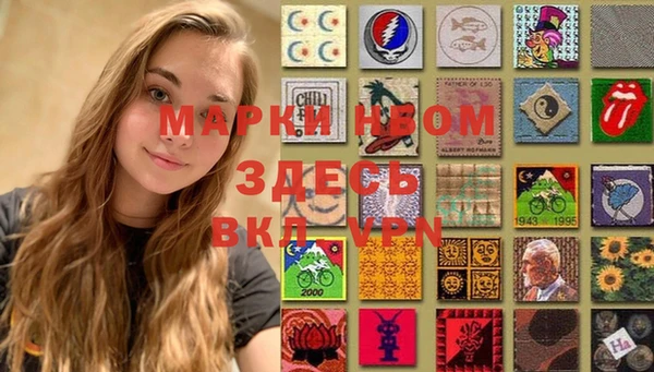 шишки Алзамай