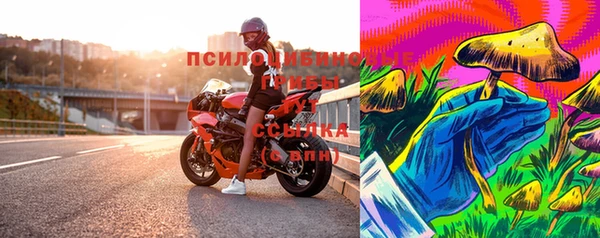 шишки Алзамай