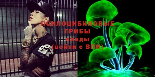 ешки Алексин