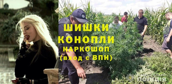 ешки Алексин