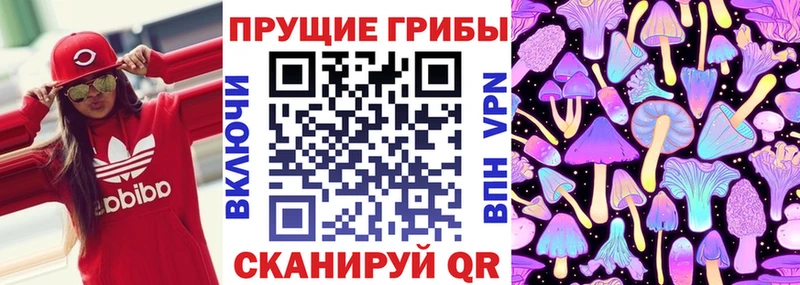 дарк нет формула  купить закладку  Красногорск  Галлюциногенные грибы мицелий  блэк спрут сайт 